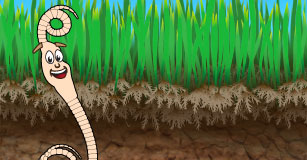 Soil � Diary of a Worm Comic